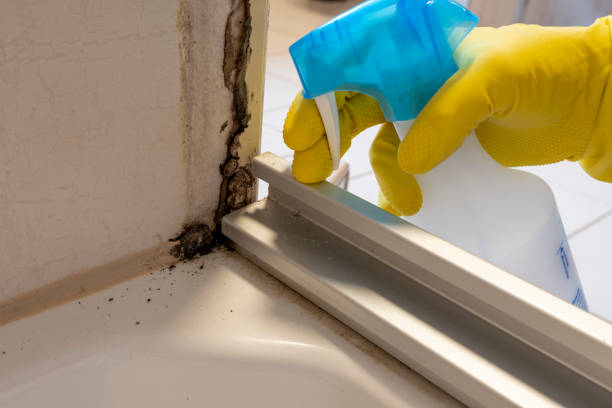 Best Mold Testing  in Centerville, GA