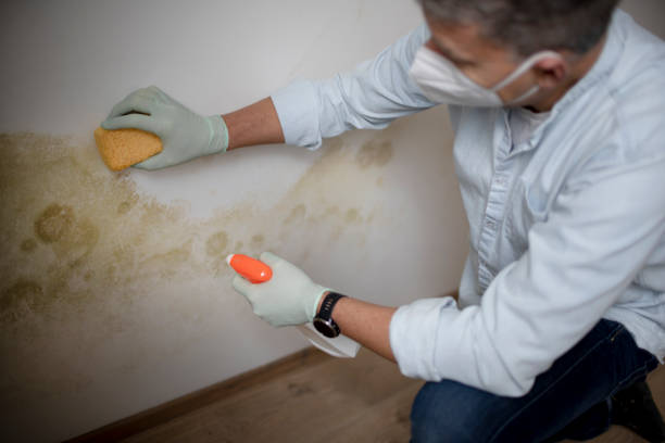 Best Mold Testing  in Centerville, GA